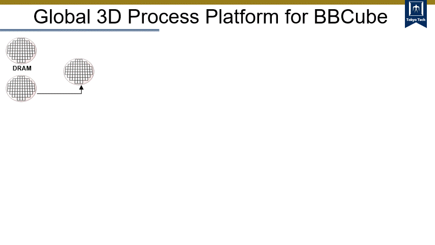 3DI Process Technology
